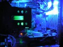 bluefreak
