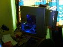 Nils