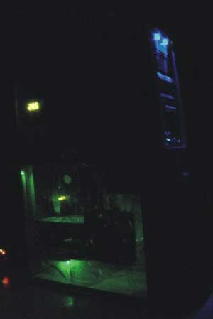 skunk-666-